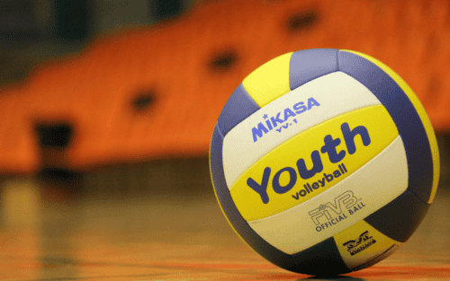 Volleyball Aufkleber Auto Test: Die 11 besten (Bestenliste)