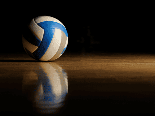 Volleyball Ballwagen Faltbar Test: Die 11 besten (Bestenliste)