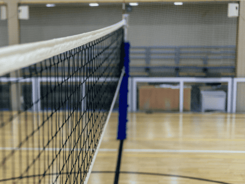 Volleyball Netzklemme Test: Die 11 besten (Bestenliste)